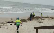 Retiraron 400 bolsas de residuos arrojados por el mar en la costa de Piriápolis