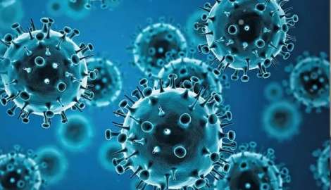 Se confirmaron dos casos de gripe A (H3N2) en nuestro país aunque no hay circulación “comunitaria”