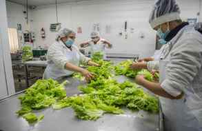 Prueba teórica para carné de manipulación de alimentos en San Carlos