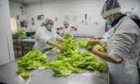Inefop capacitará gratuitamente a empresarios y técnicos del sector alimentario