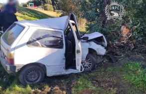 Falleció conductor que estrelló el coche que conducía contra un árbol cerca del peaje Solís