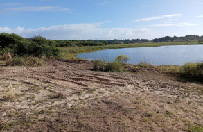 Realizaron limpieza de Laguna Escondida por acumulación de cantidades de algas en los bordes
