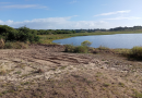 Realizaron limpieza de Laguna Escondida por acumulación de cantidades de algas en los bordes