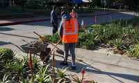 Trabajadores de los “Jornales Solidarios” se desplegaron en distintas zonas