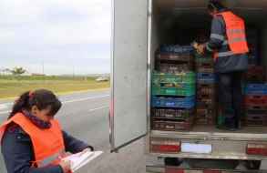 Las intendencias acordaron crear el Registro Único Nacional de Alimentos, Empresas y Vehículos