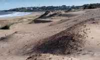 Trabajan en anteproyecto de ley para declarar “suelo rural natural” a toda la costa uruguaya