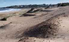 Trabajan en anteproyecto de ley para declarar “suelo rural natural” a toda la costa uruguaya