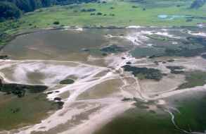 Decreto Nacional incluye varios humedales de Maldonado en el registro de Importancia Ambiental